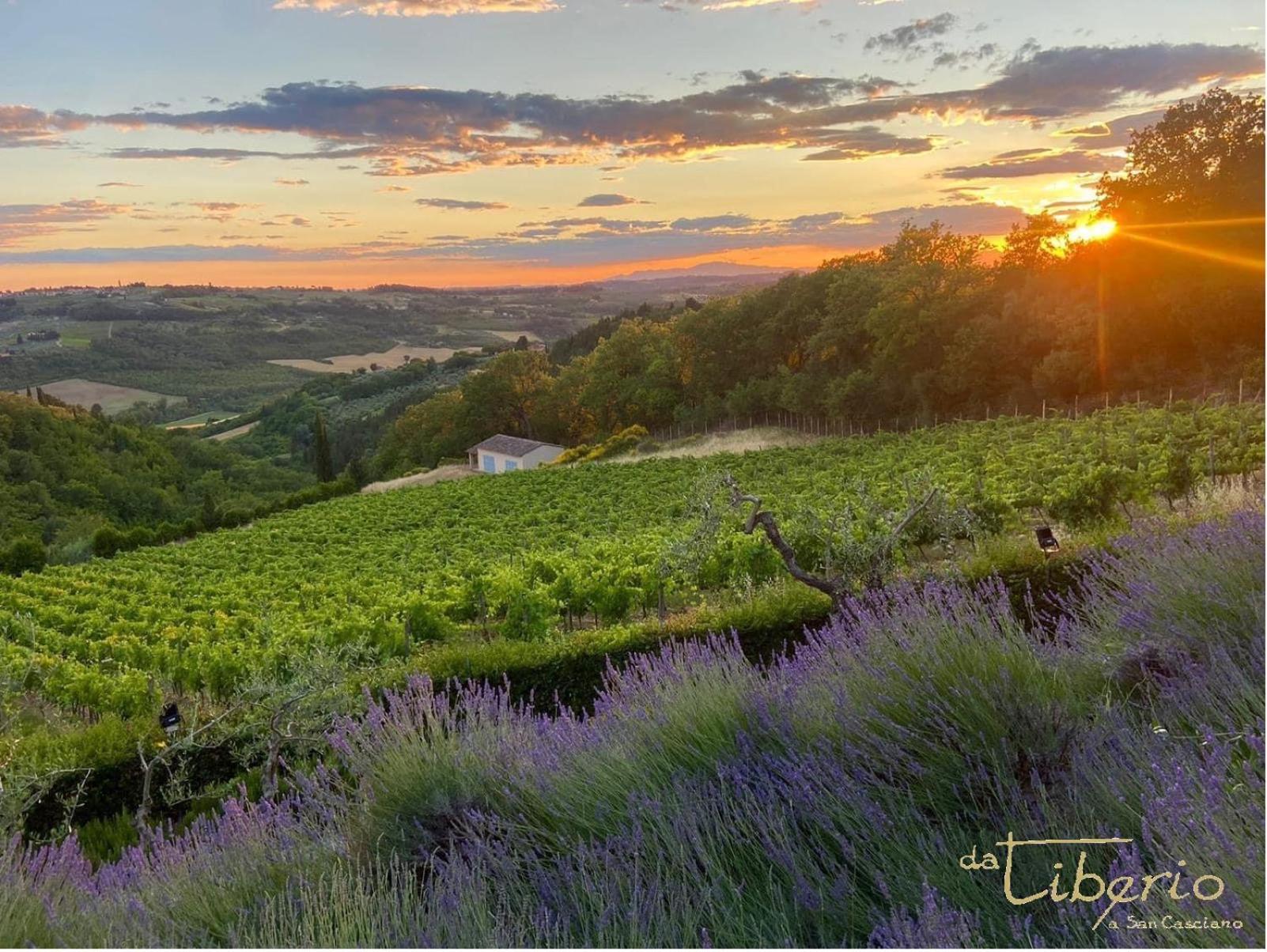 Tenuta Massabo San Casciano in Val di Pesa Eksteriør billede
